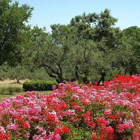 Guest house Colle Moro - B&B Villa Maria *