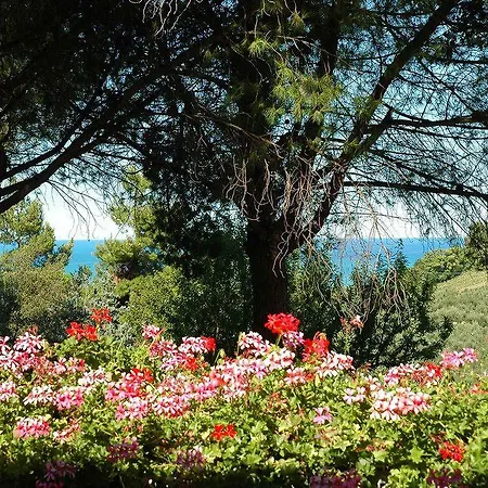 Guest house Colle Moro - B&B Villa Maria *